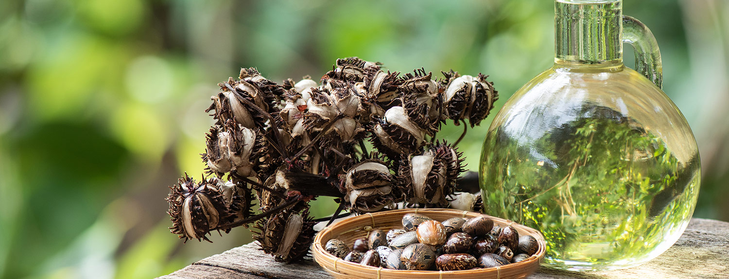 PEG-40 hydrogenated Castor Oil: Does It Benefit The Skin?