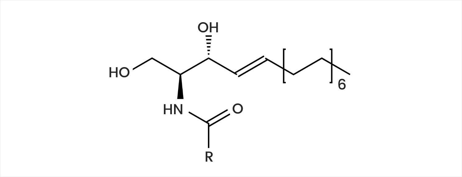 Ceramides: Everything You Need To Know – What Do Ceramides Do?, How Do Ceramides Work?And Are Ceramides Safe?